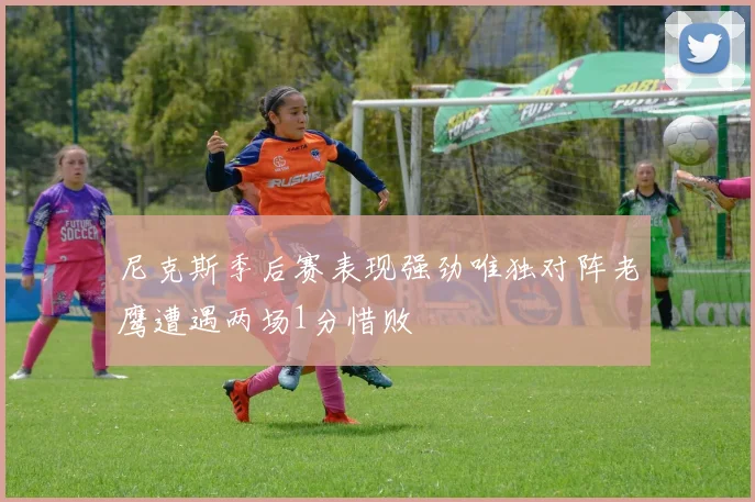尼克斯季后赛表现强劲唯独对阵老鹰遭遇两场1分惜败